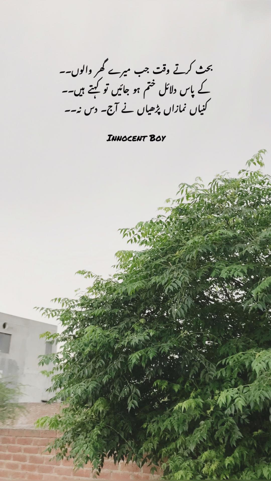 @Innocent Boy ❤️&zwj;🔥👑🥀