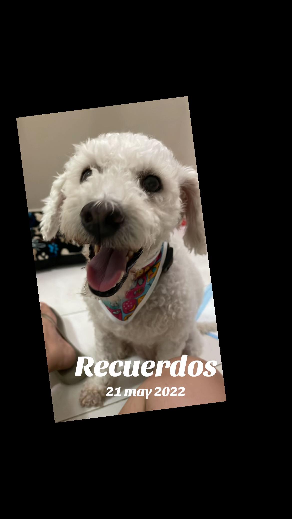 @Elisa Huitrón Rivera