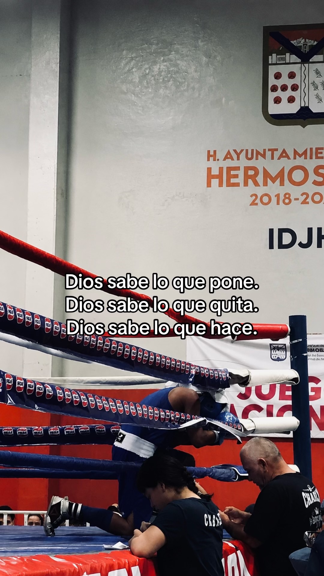 @PANTERA 🥊