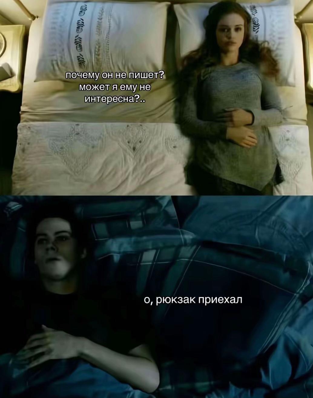 @alonexx #втигре 🐯