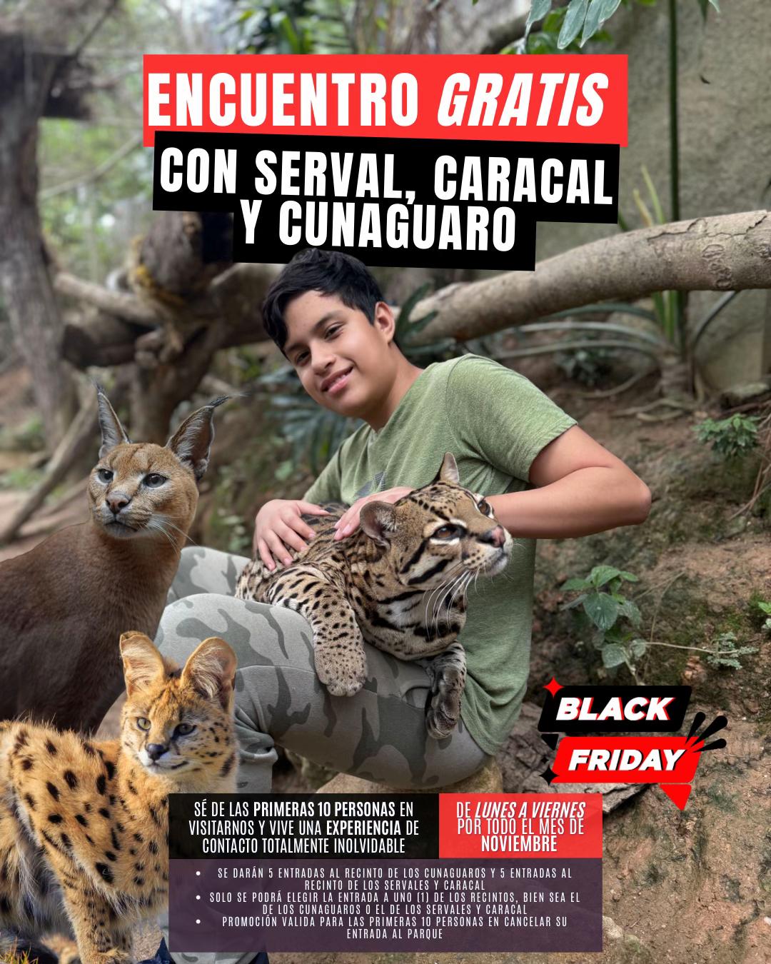 @La Casita del Avestruz