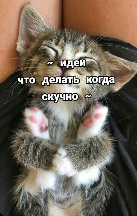 @хз