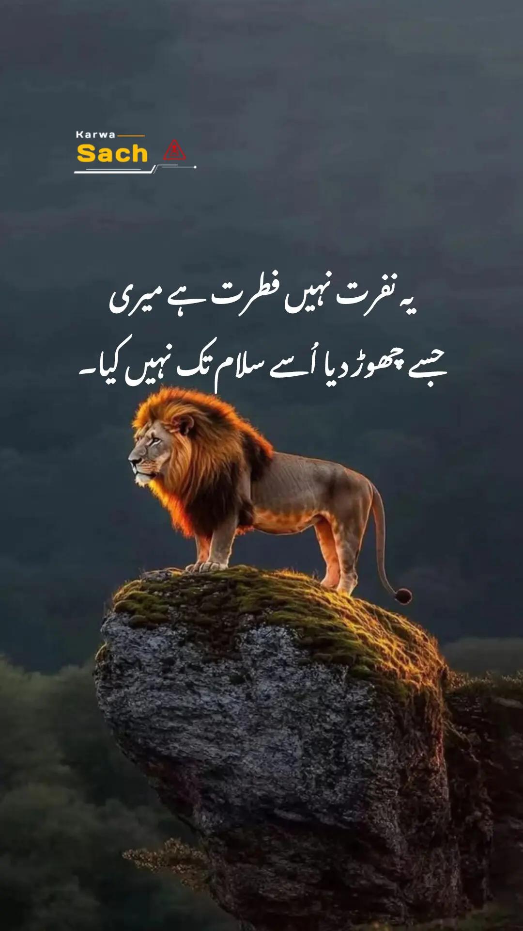 @Karwa Sach🐎