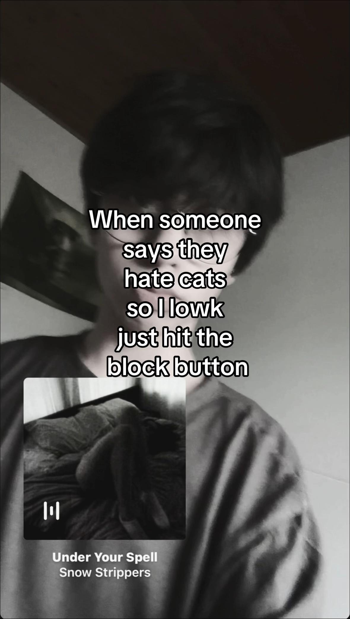 @cat