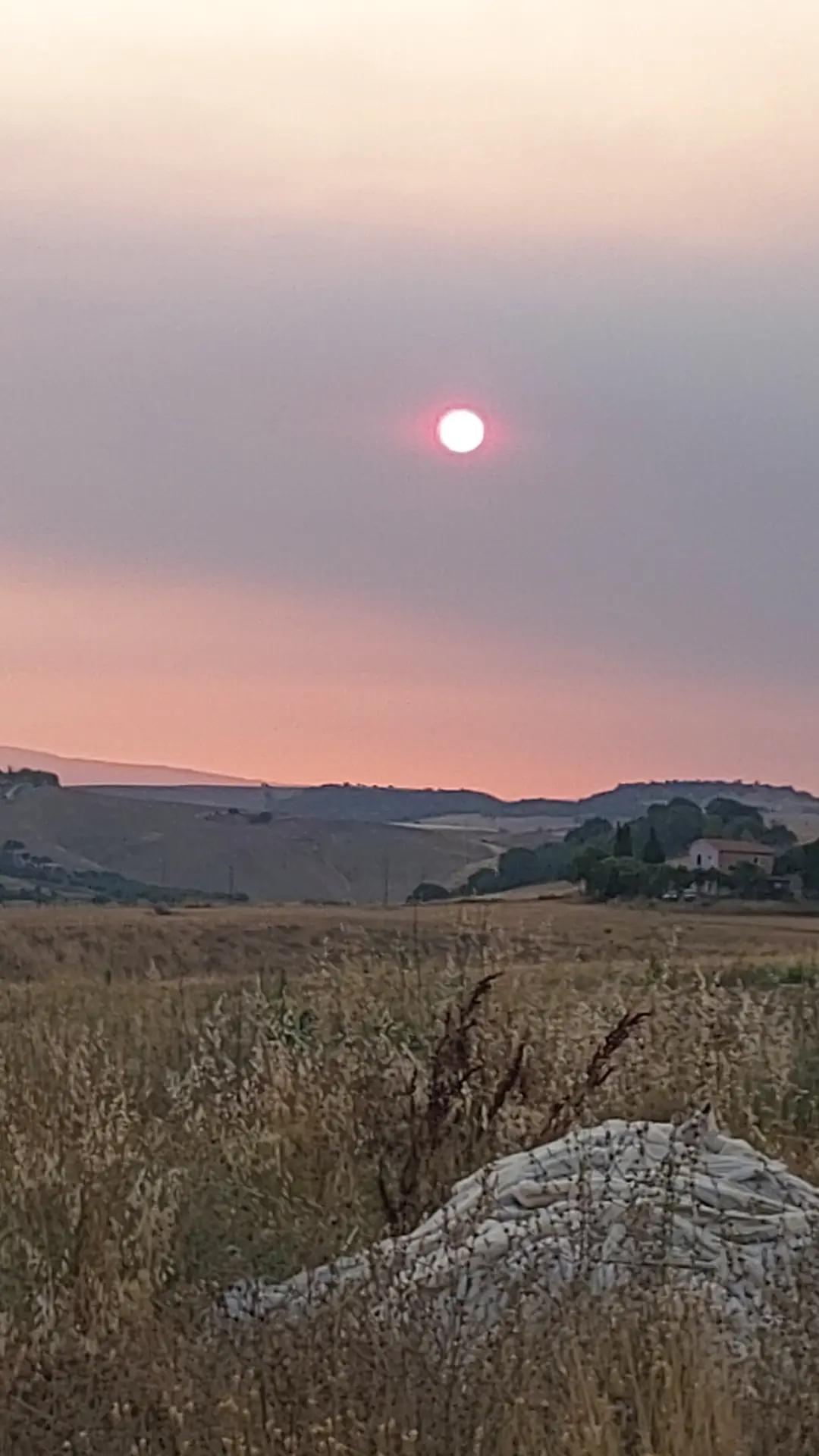 @Mauro Giganti