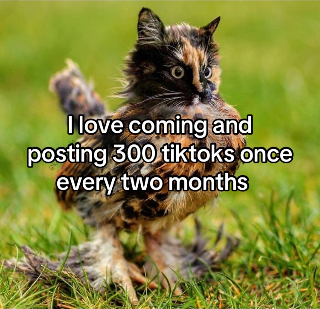 @ashy bear