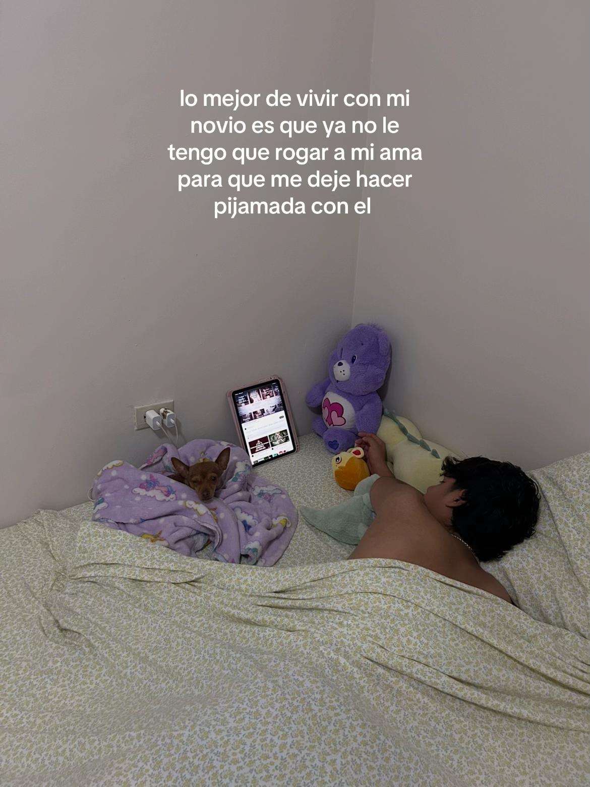 @Iris Alejandra &epsilon;⭑з