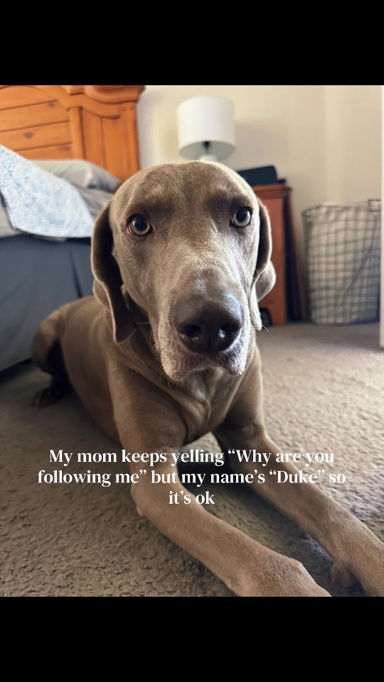 @dbrowngolfs