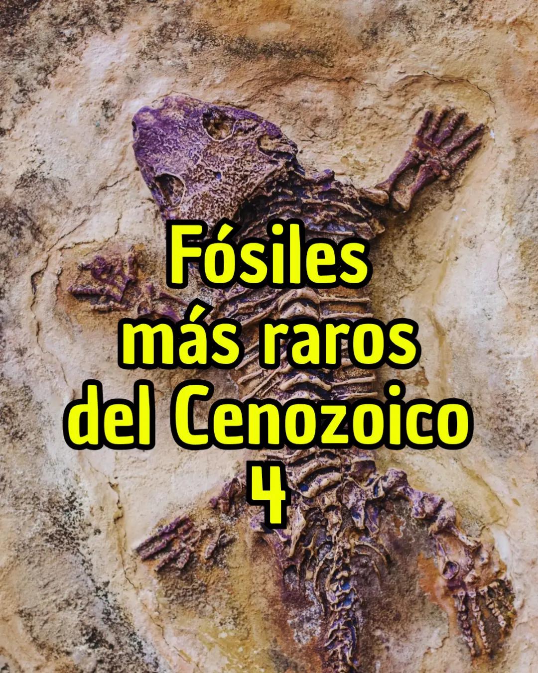 @eocenito