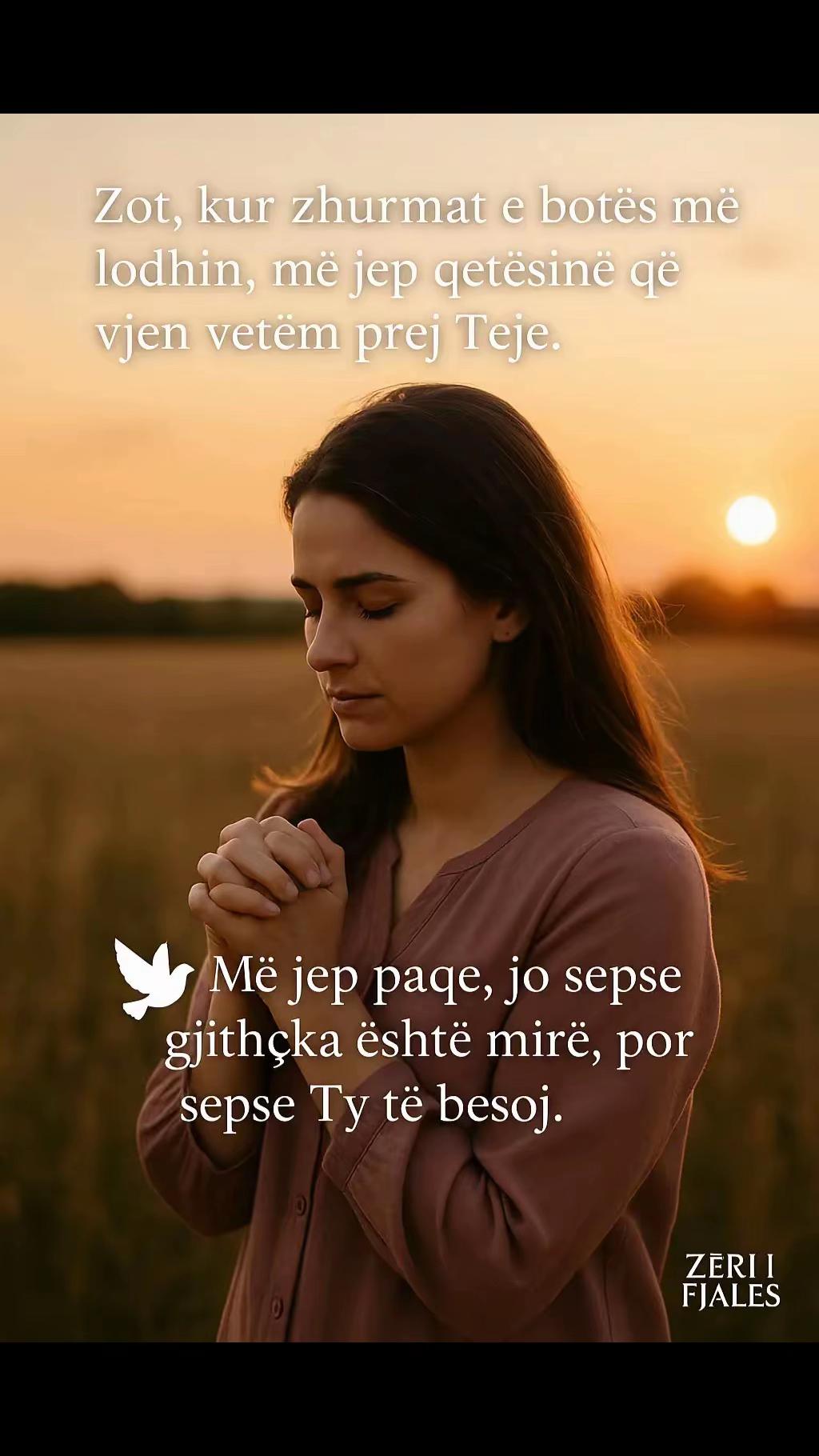 @Zeri i Fjales-Z.J