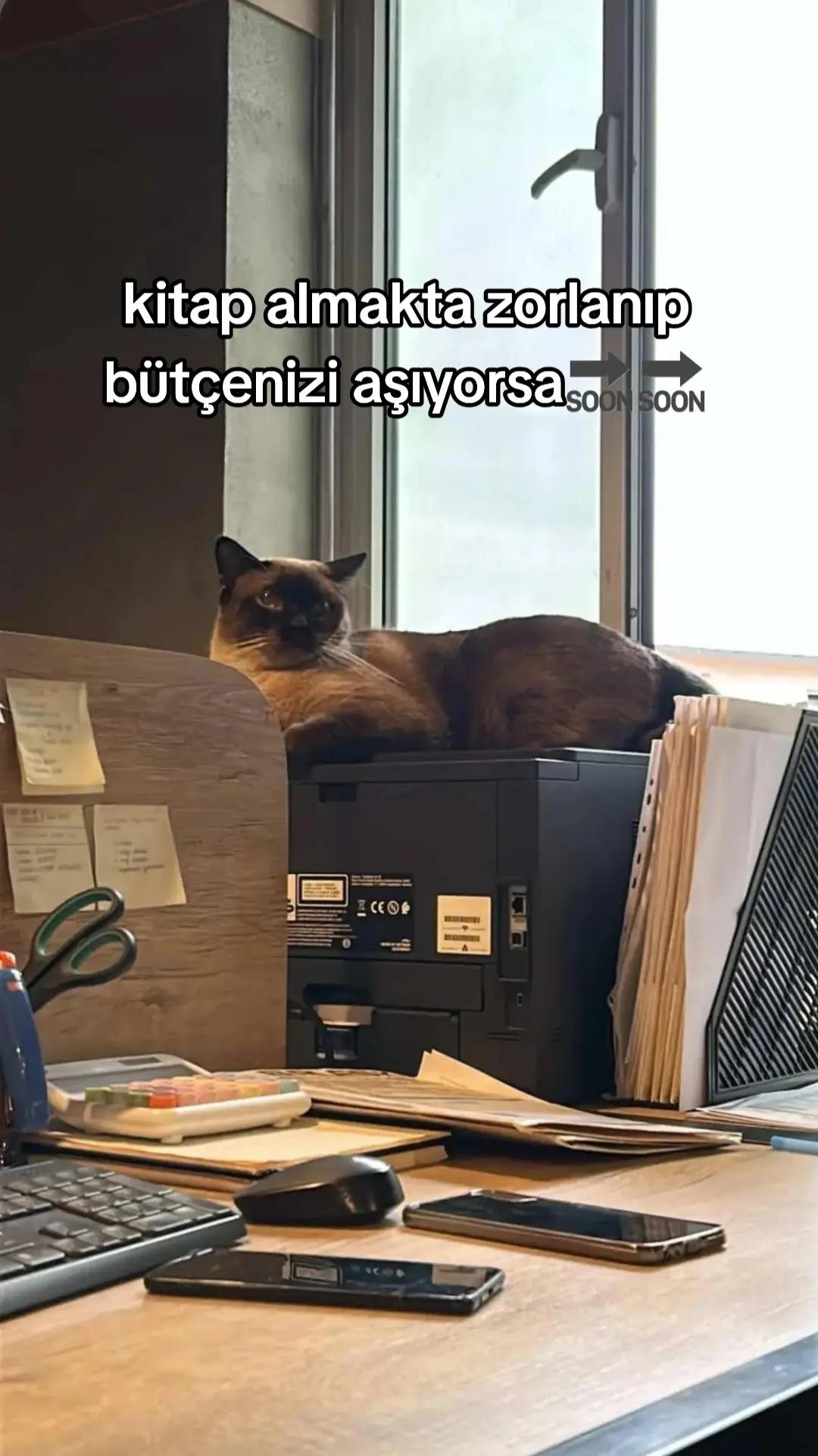 @Eylululll