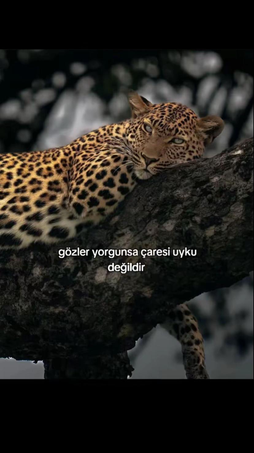 @Engin_bycr