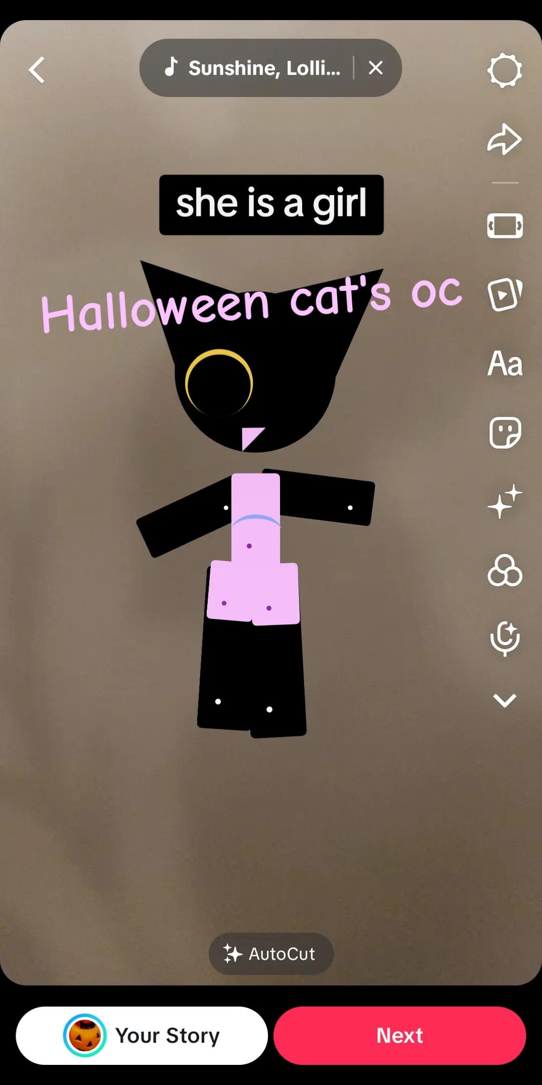 @Halloween cat