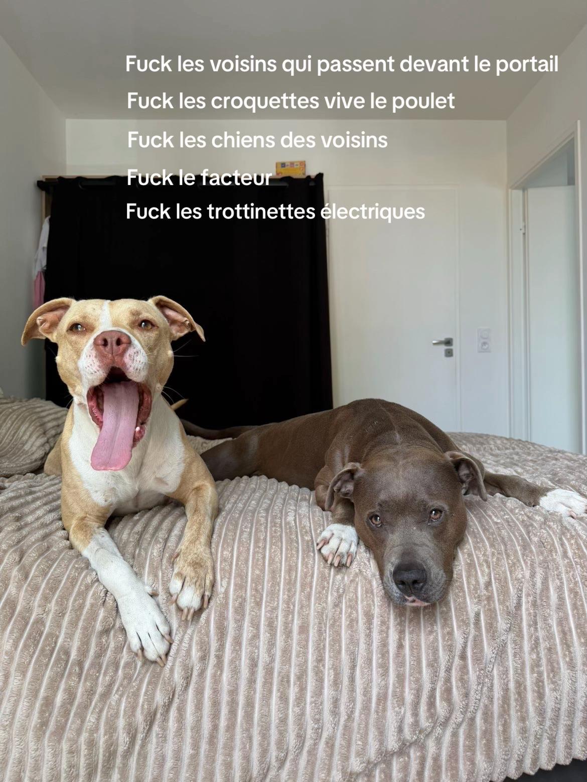 @kiara_isis_apbt