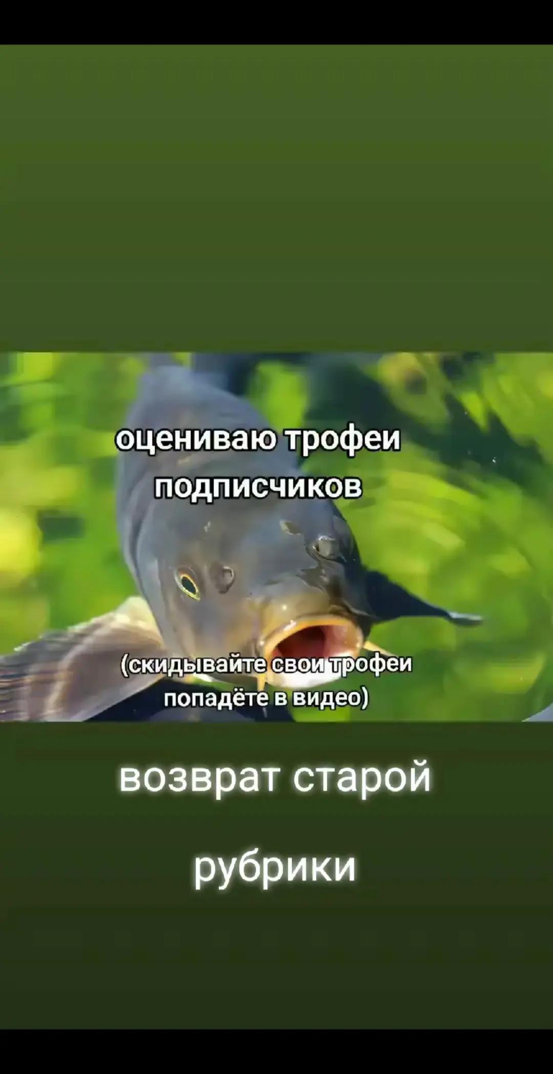 @🎣Рыбалка и многое другое🎣