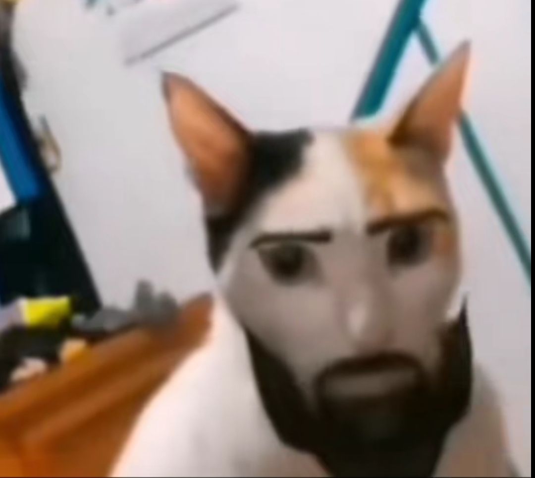 @хз