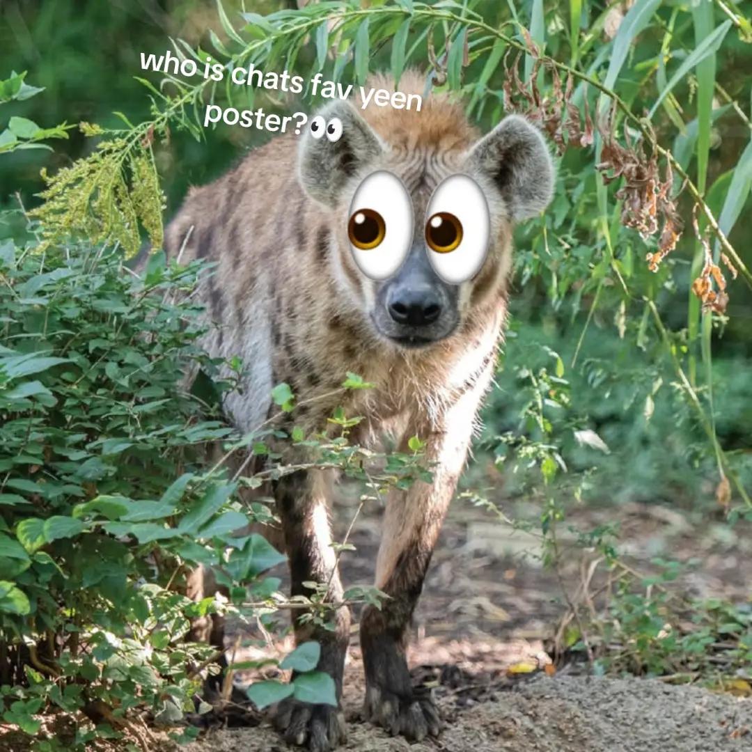@AbrahamTheHyena🆒6️⃣9️⃣