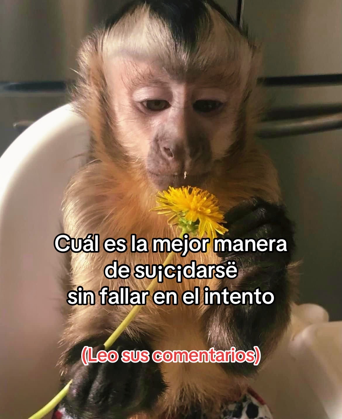 @💜🇭🇳🍫Chocolatito🍫🇭🇳💜