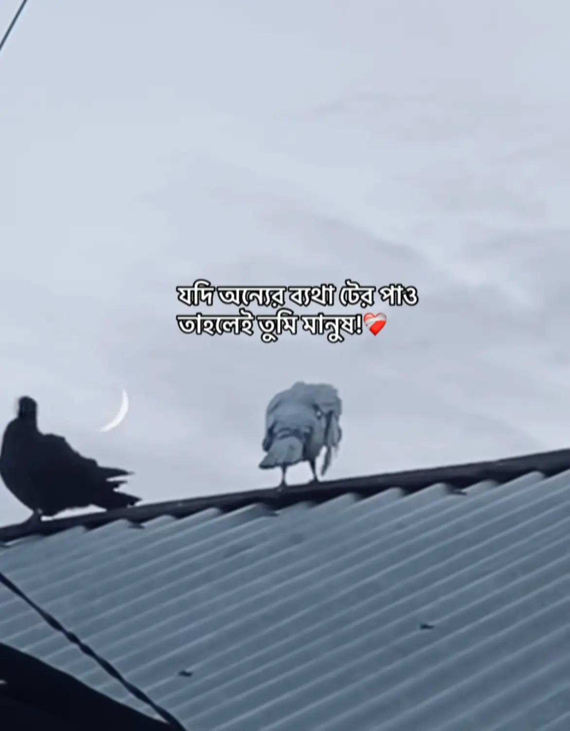 @𝐑𝐄𝐅𝐀𝐓.~. 🫠❤️&zwj;🩹