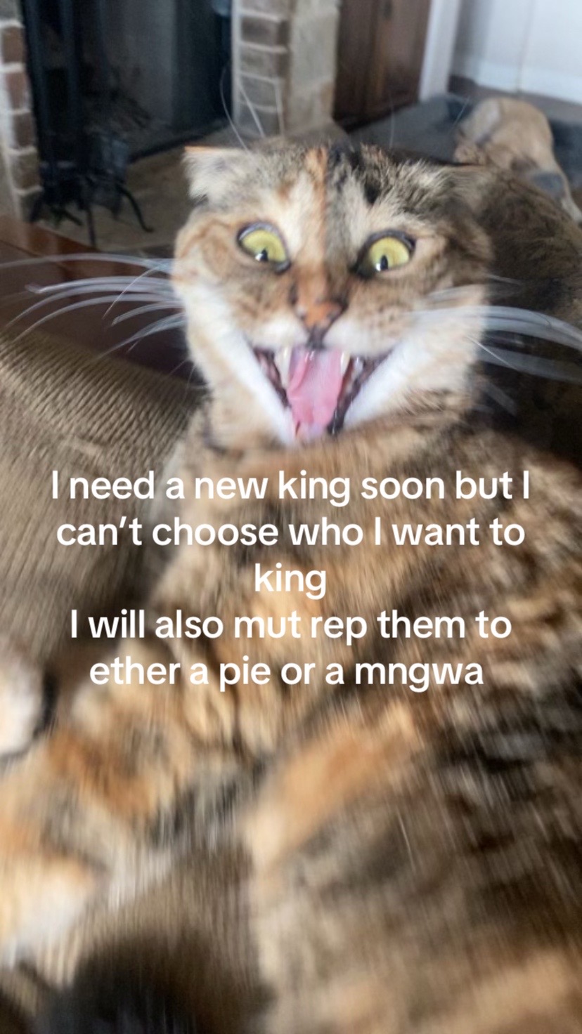 @Melog