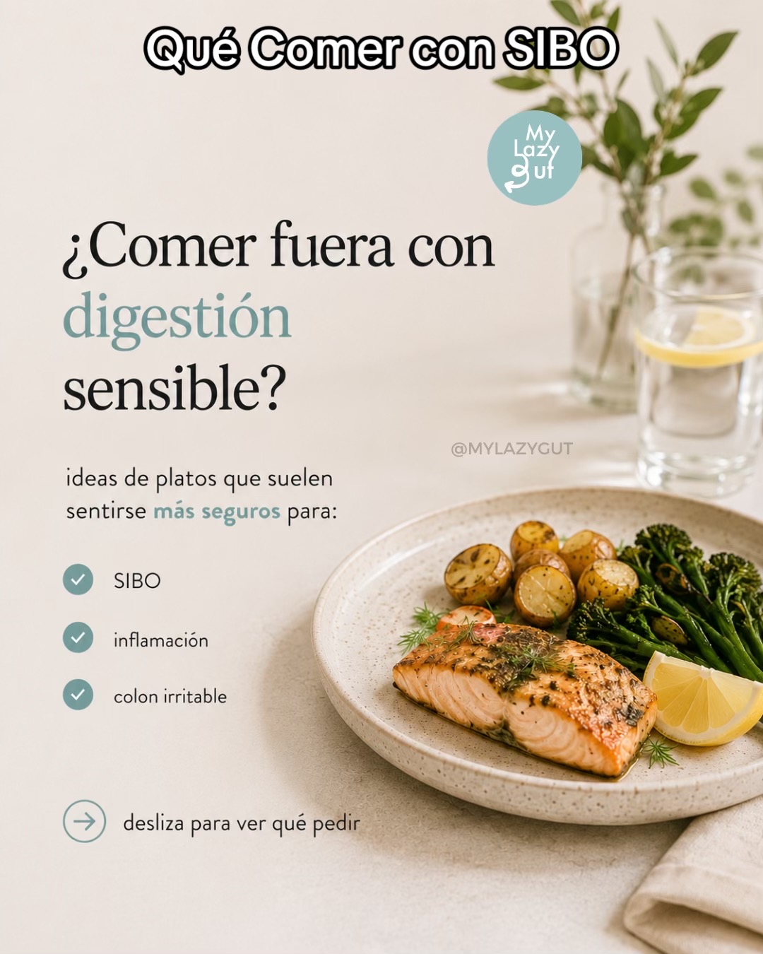 @Mylazygut/Salud Digesti&oacute;n