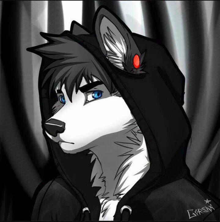 @darkalphawolf