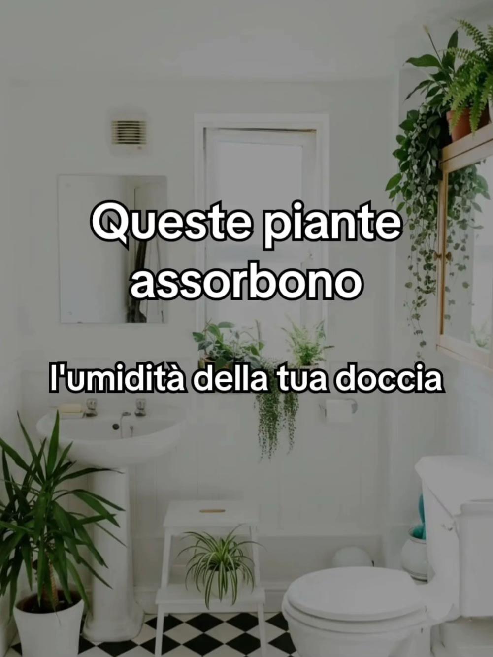 @Anna.dsantis