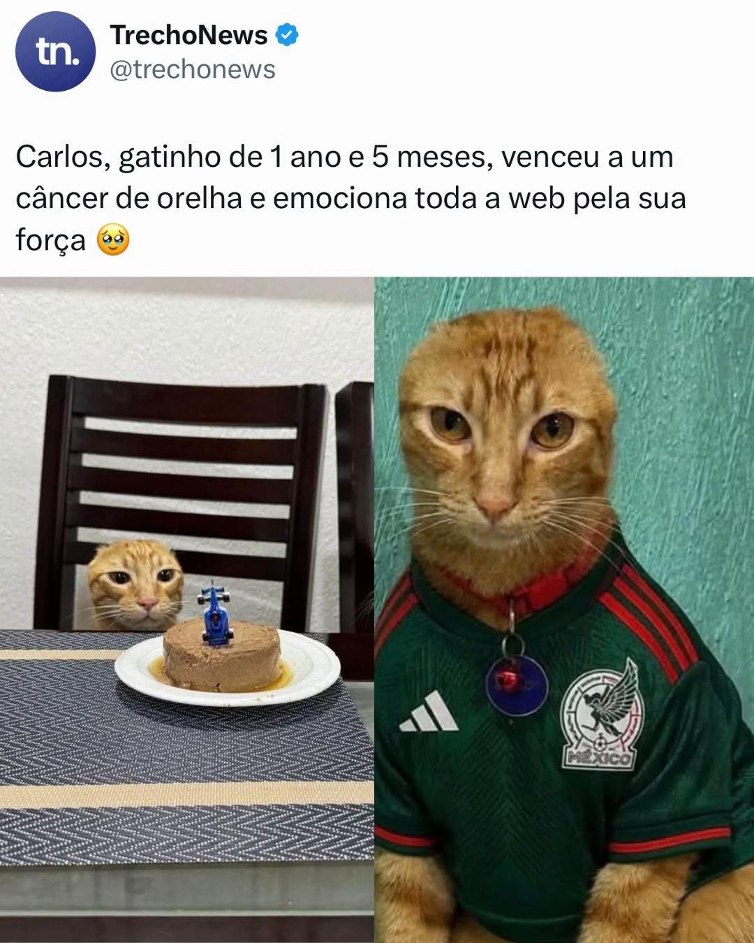 @trechonews