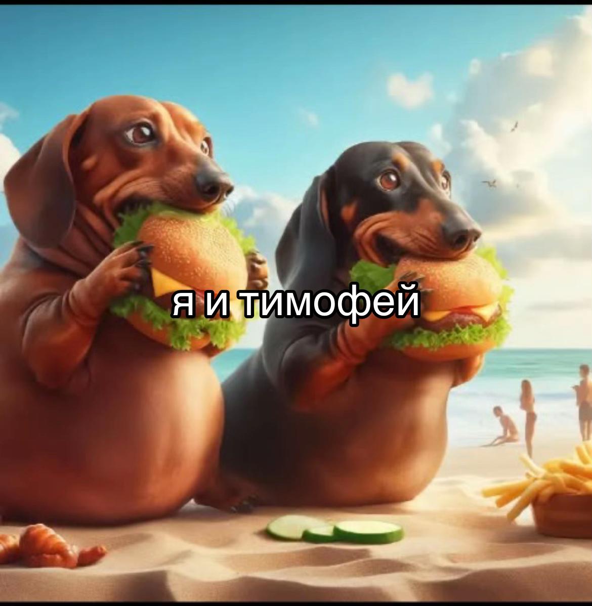 @тимофей го встр