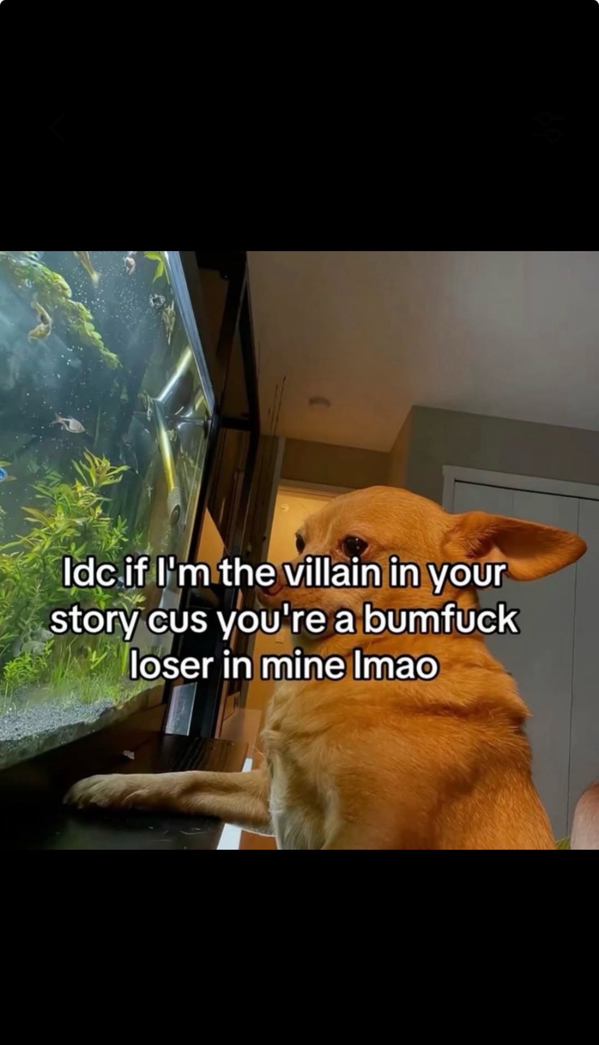 @minddumpdailyyy