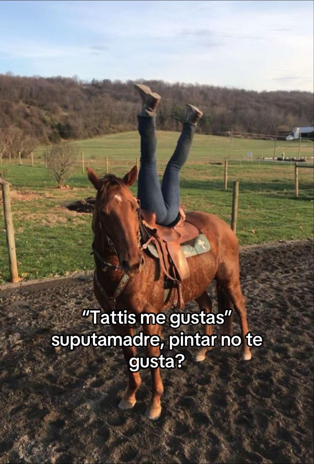 @Liliana barradas🖤