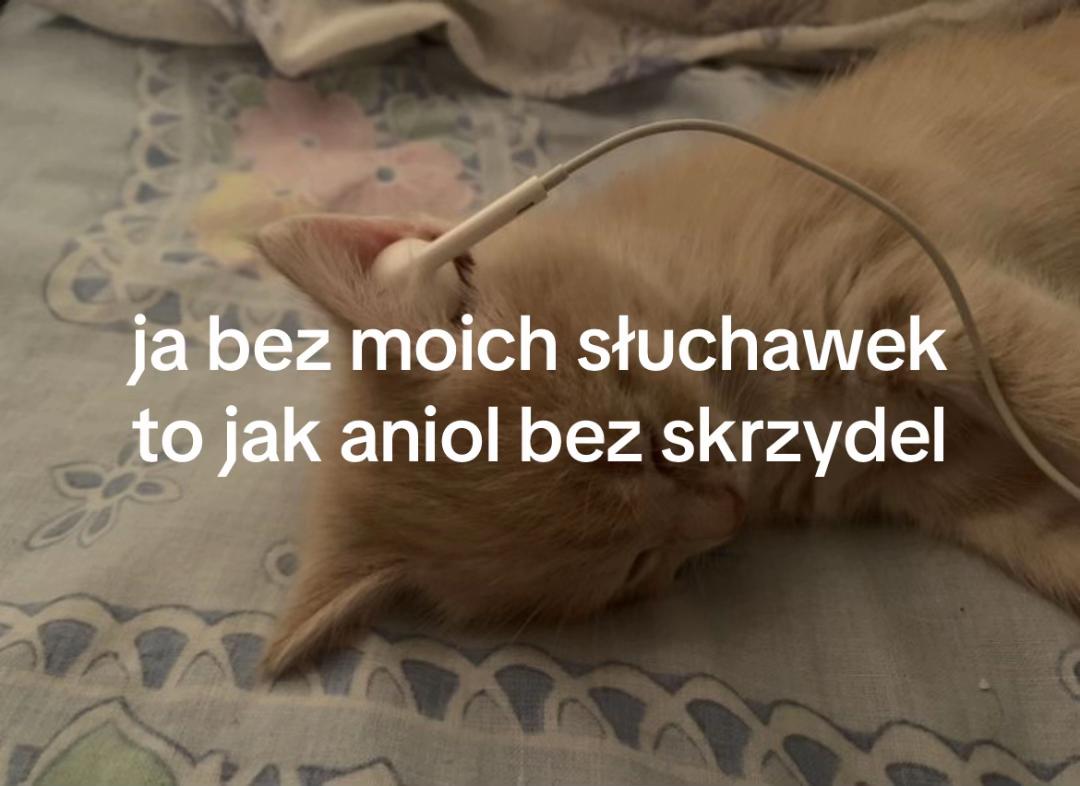 @weronika