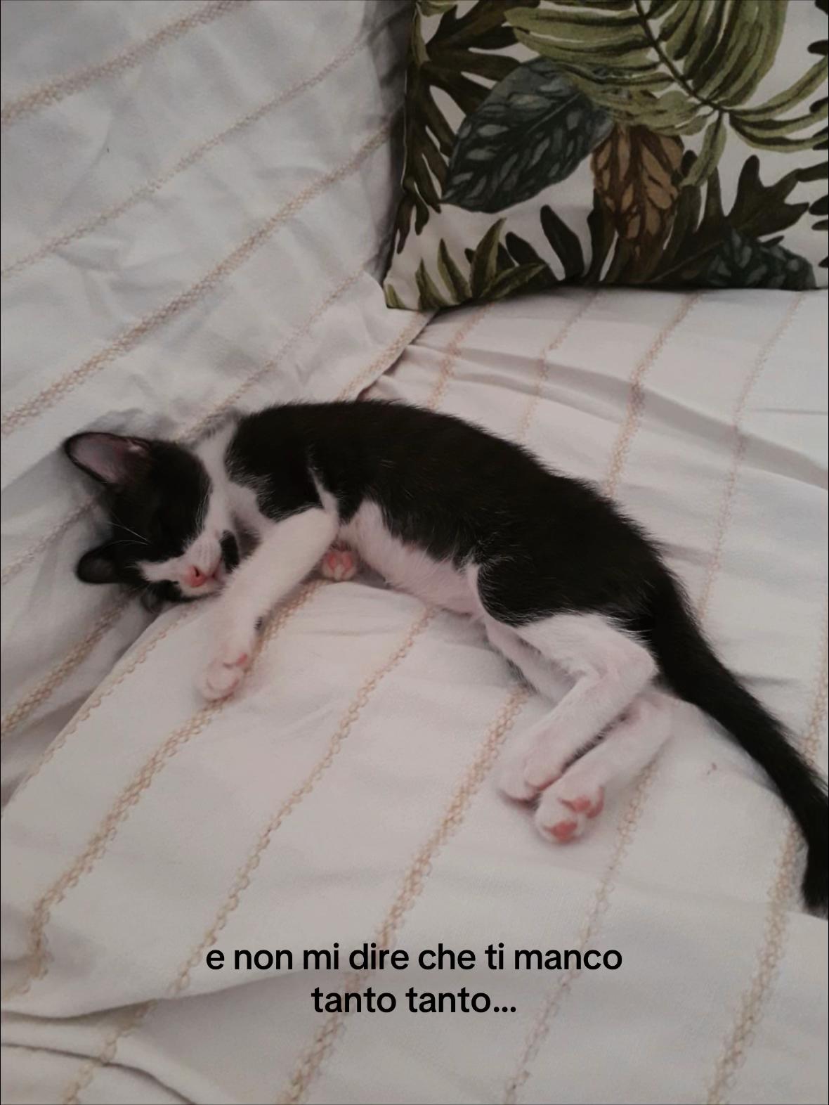 @Matilda Bevilacqua