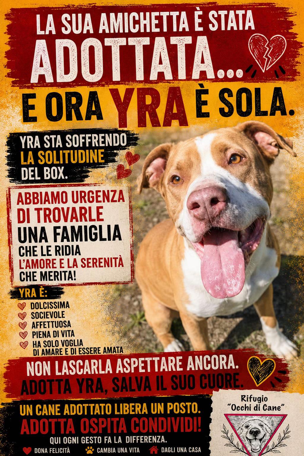 @veeronicadallavalle