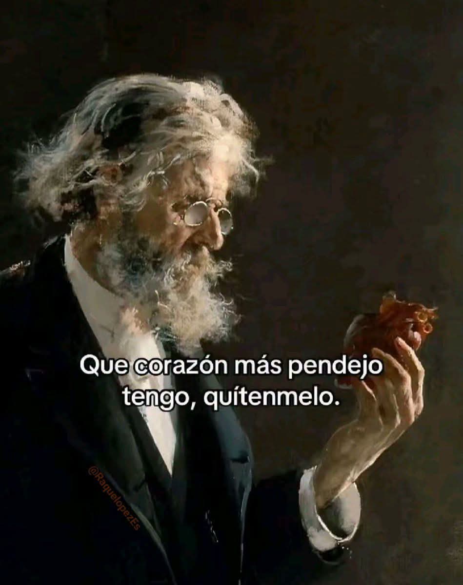 @Alexander✅️