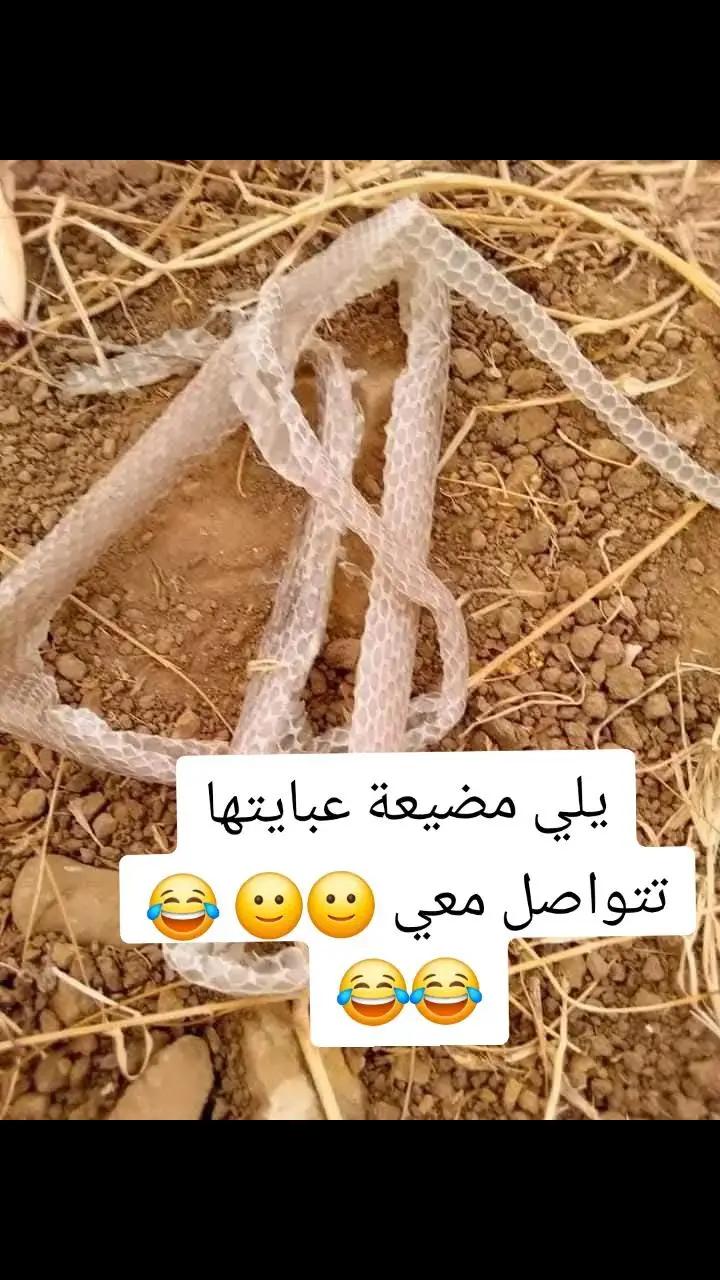 @من جهات الاتصال
