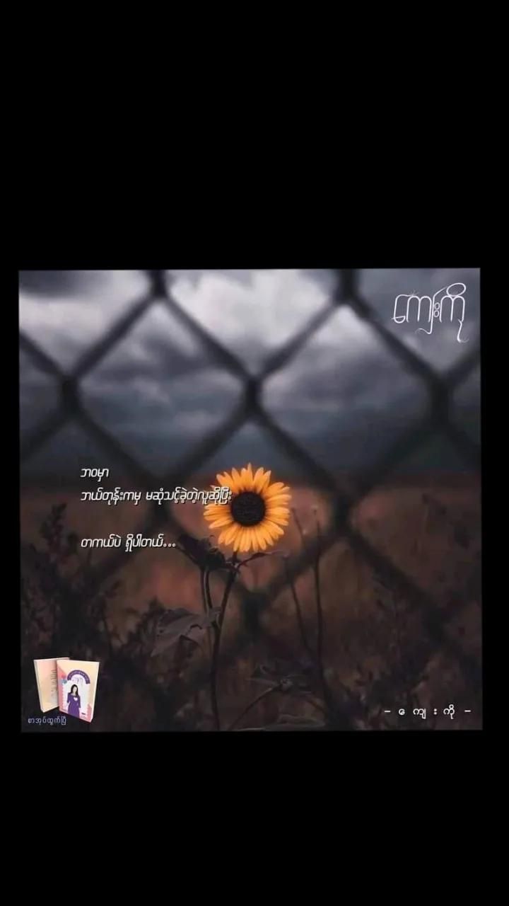 @Hein Htet