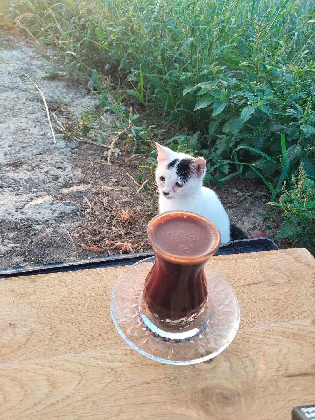 @Ayşe