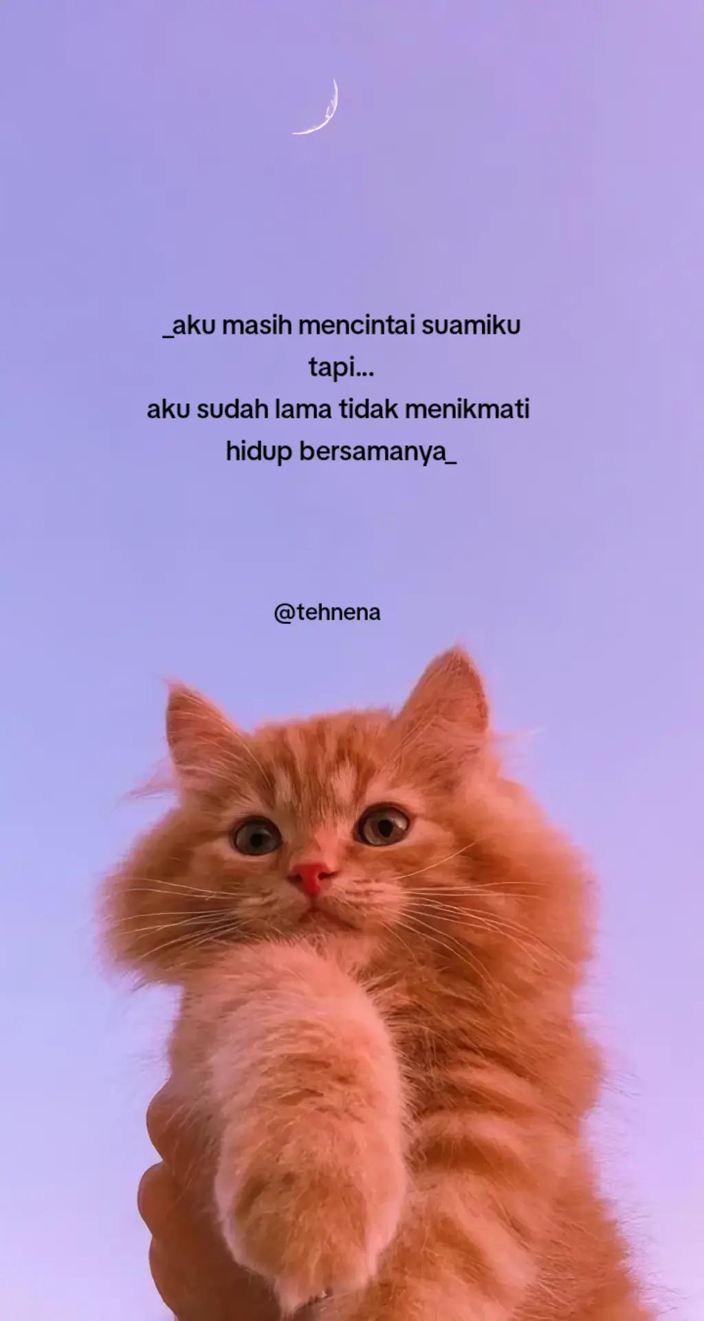 @Nena🥀