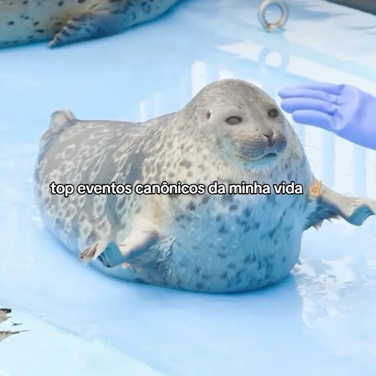 @𝚎́ 𝚓𝚞𝚓𝚞𝚑 𝚝𝚛𝚘𝚙𝚊☏︎