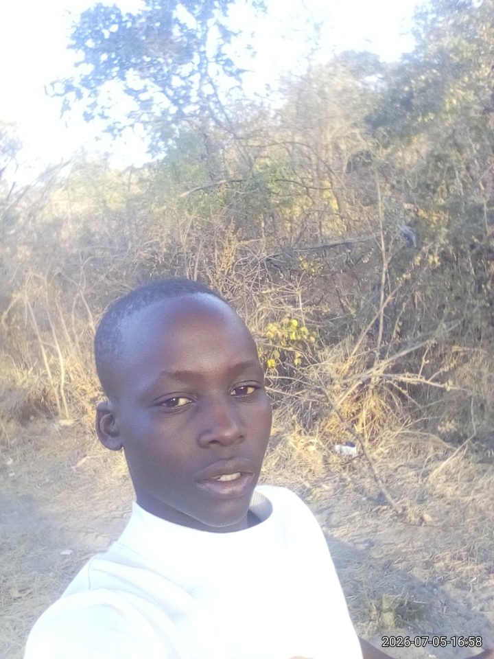 @user5929385099331