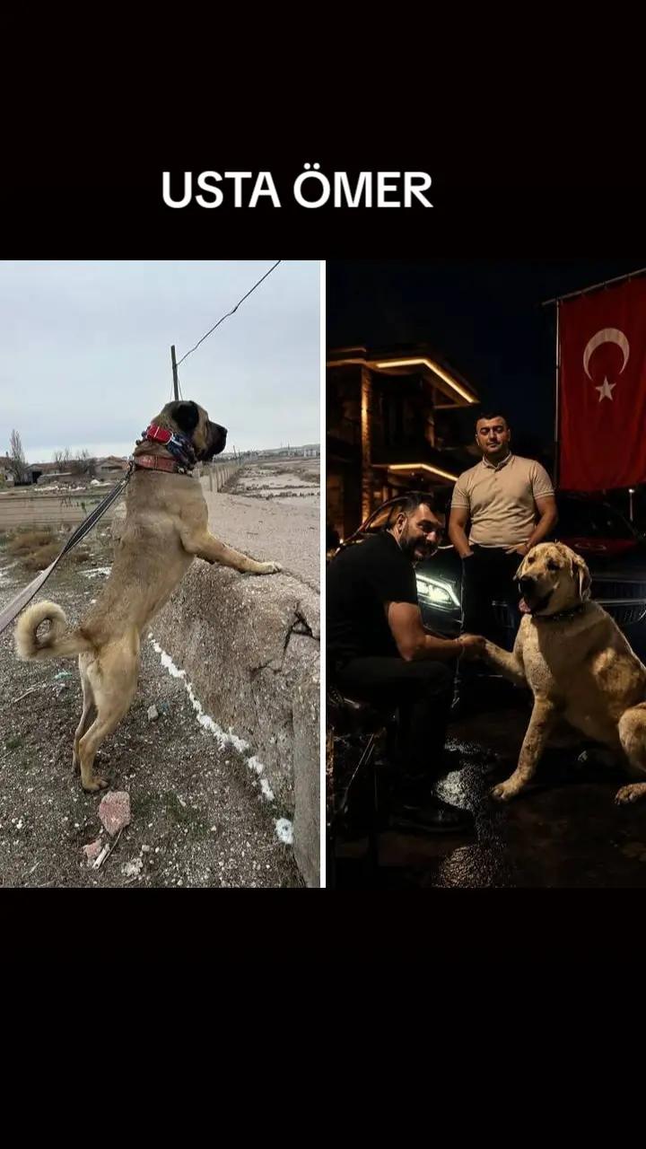 @Usta Ömer