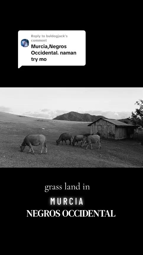 @xaeron