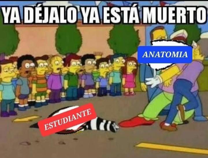 @gabrielmatamoros