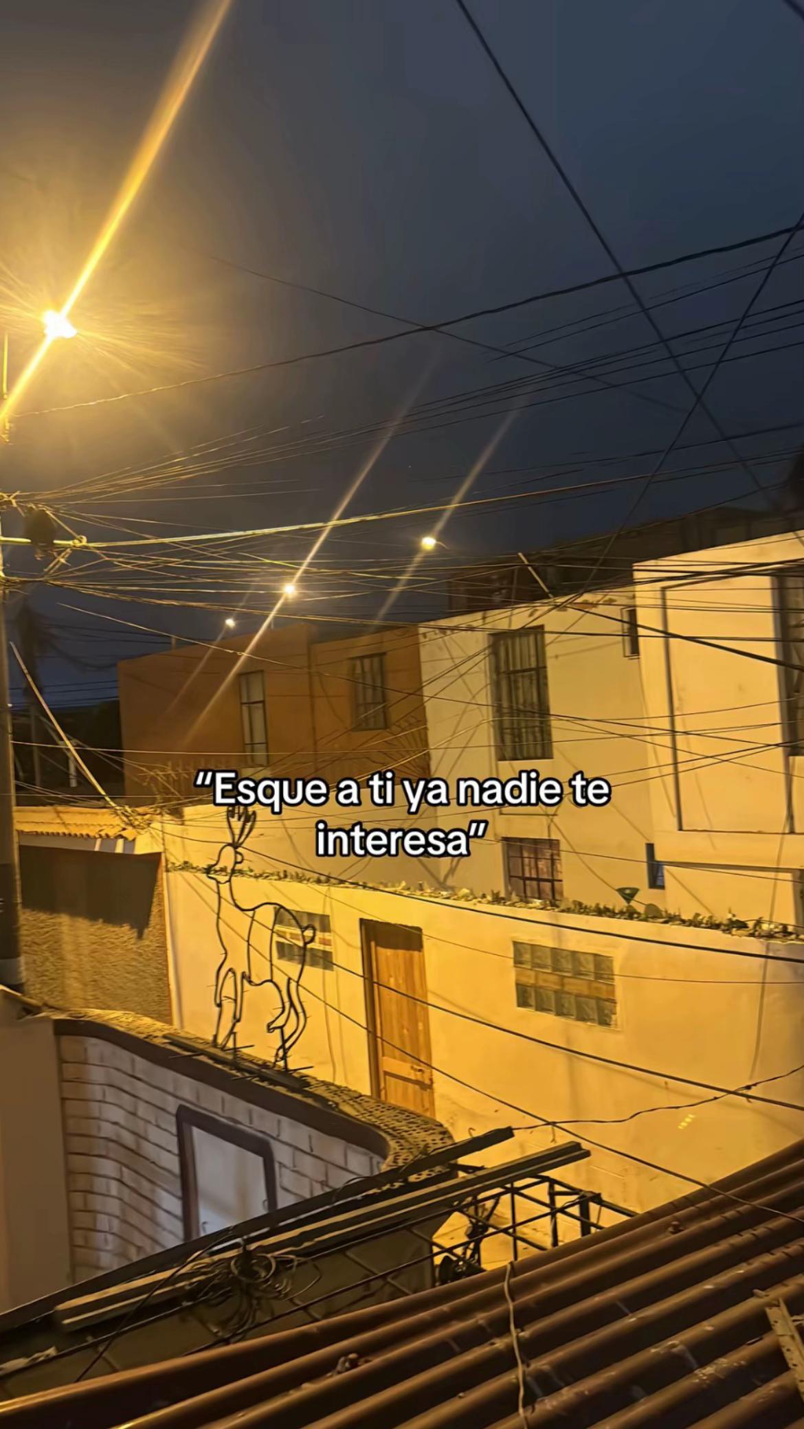 @user no encontrado