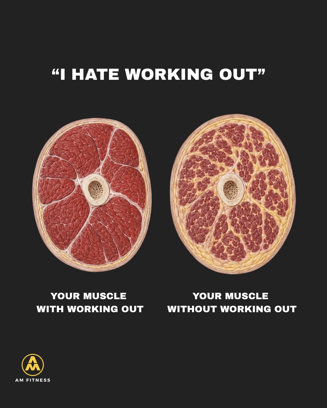 @Armin | Fitness Coach