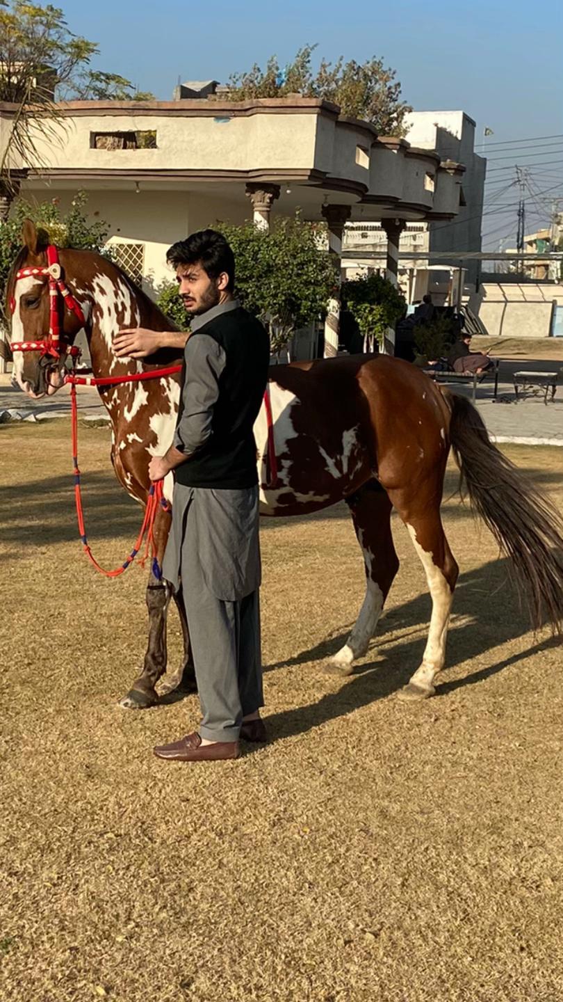 @Malik Zamin Abbas Awan