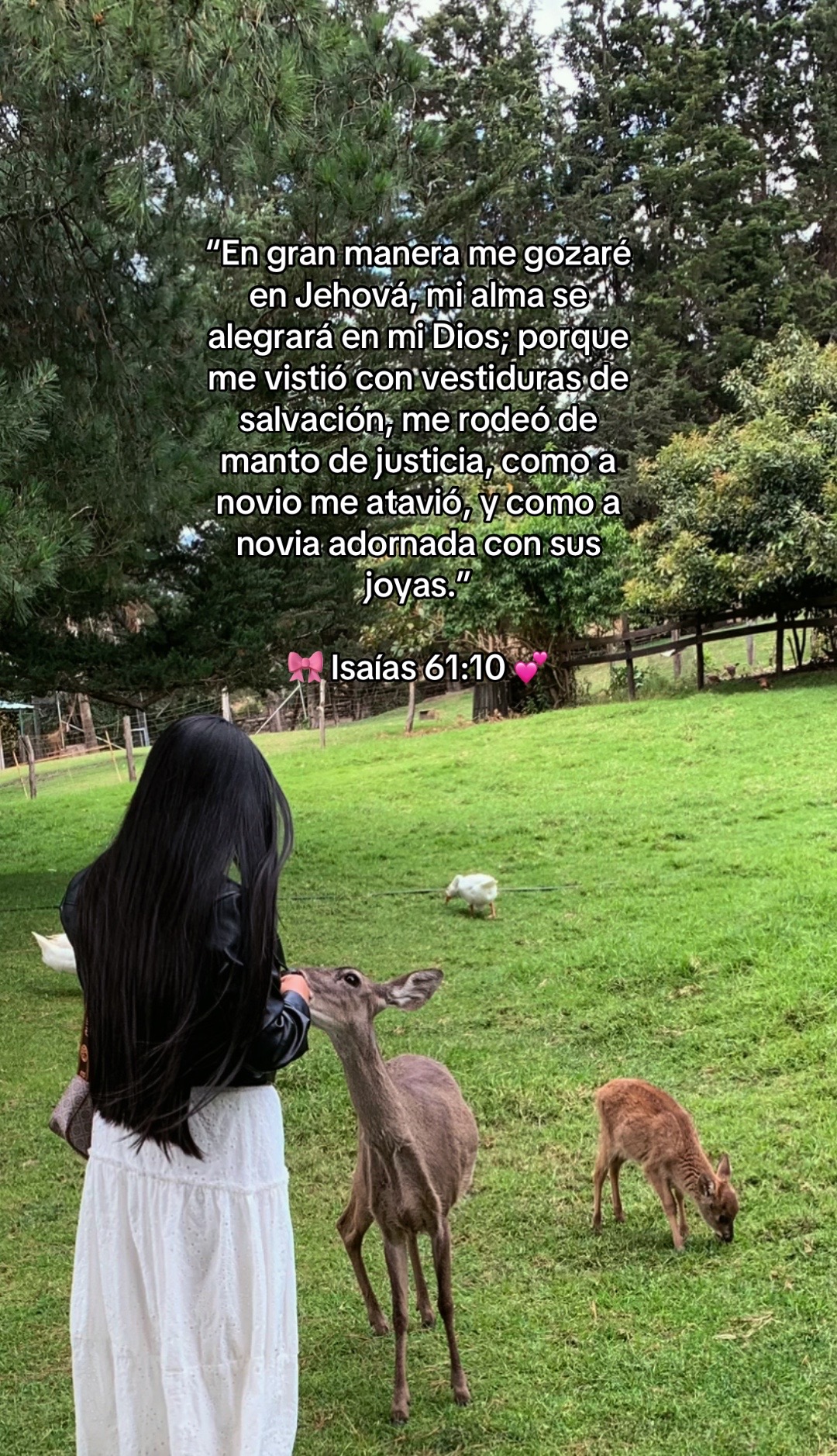 @𝓔𝓿𝓮𝓵𝔂𝓷🌷