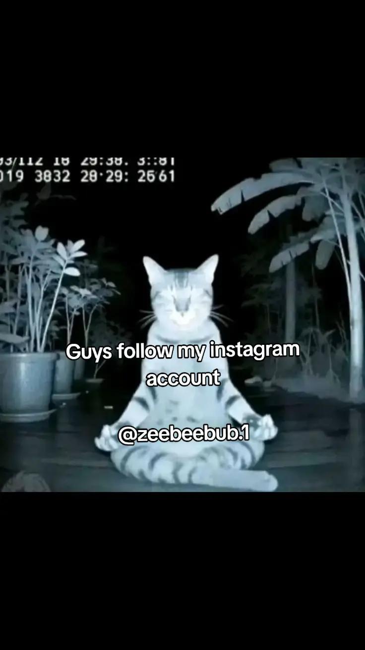 @Zeebeebub