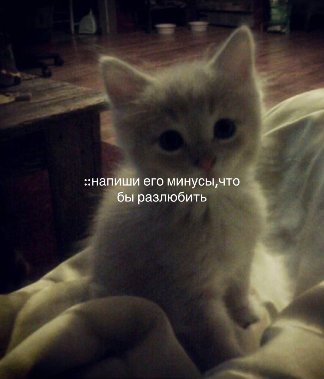 @асадьева